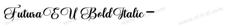 FuturaEU BoldItalic字体转换